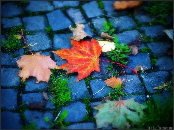 ザールブリュッケン