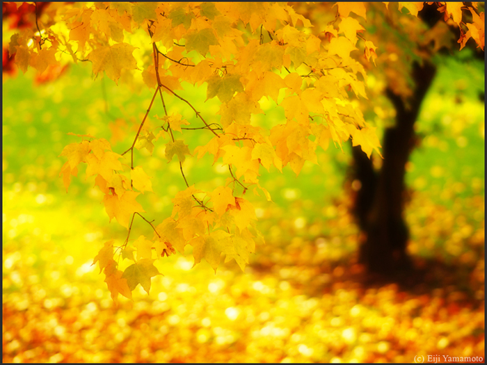 ザールブリュッケン