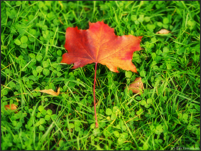 ザールブリュッケン