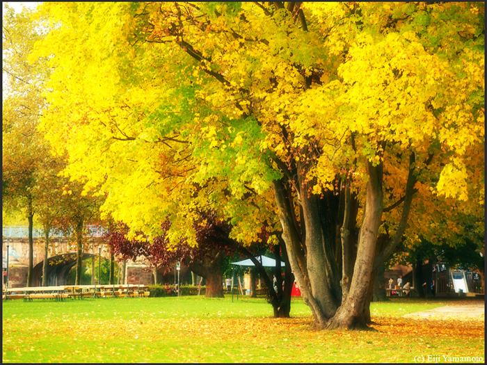 ザールブリュッケン