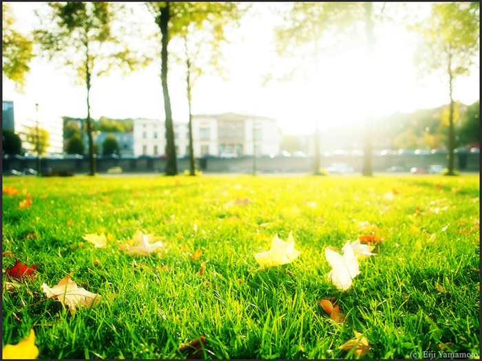 ザールブリュッケン