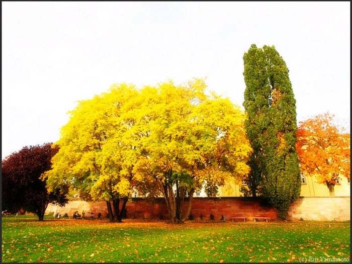 ザールブリュッケン