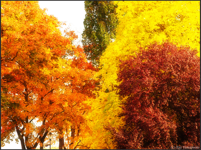 ザールブリュッケン