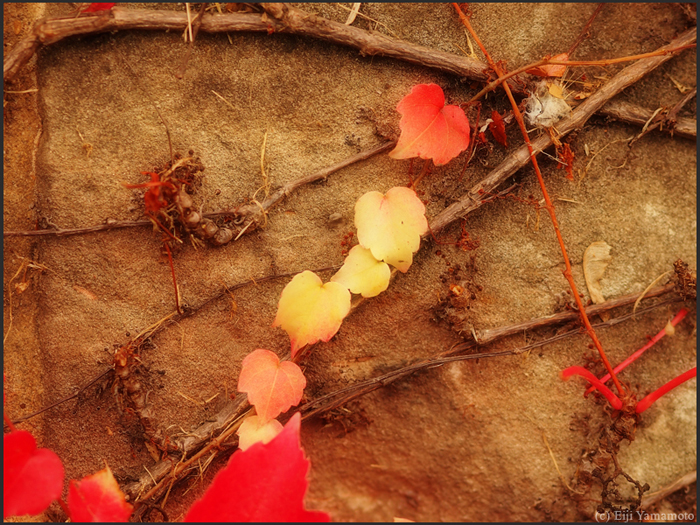 ザールブリュッケン