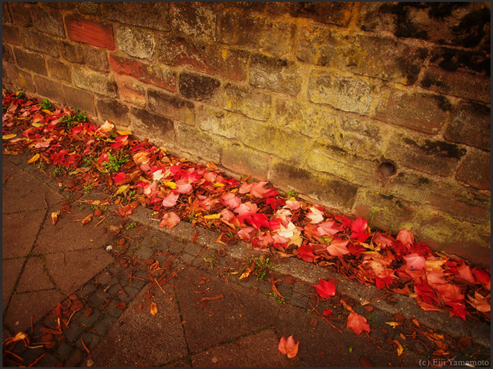 ザールブリュッケン