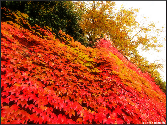 ザールブリュッケン