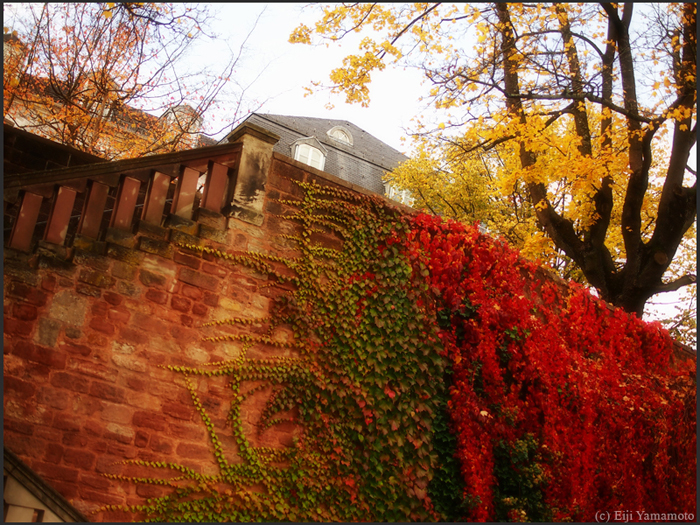 ザールブリュッケン