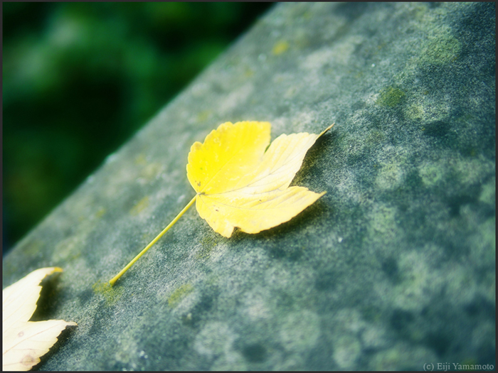 ザールブリュッケン