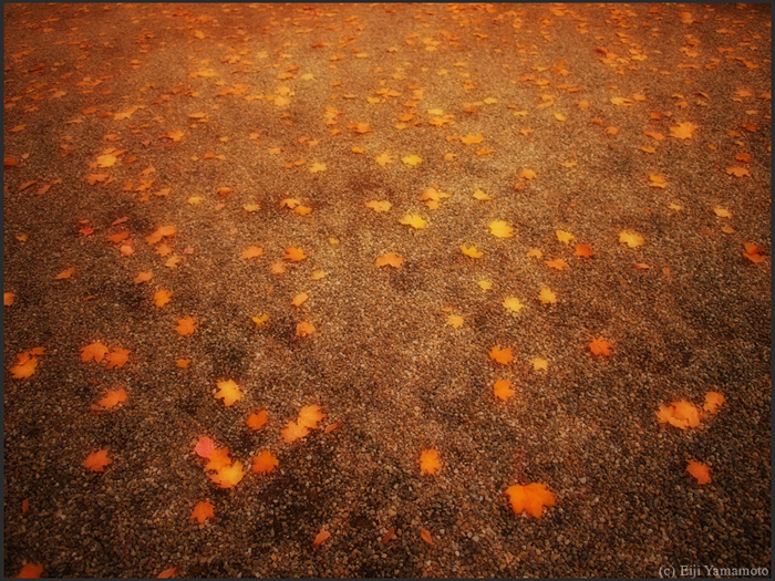 ザールブリュッケン