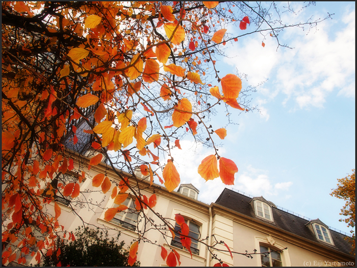 ザールブリュッケン