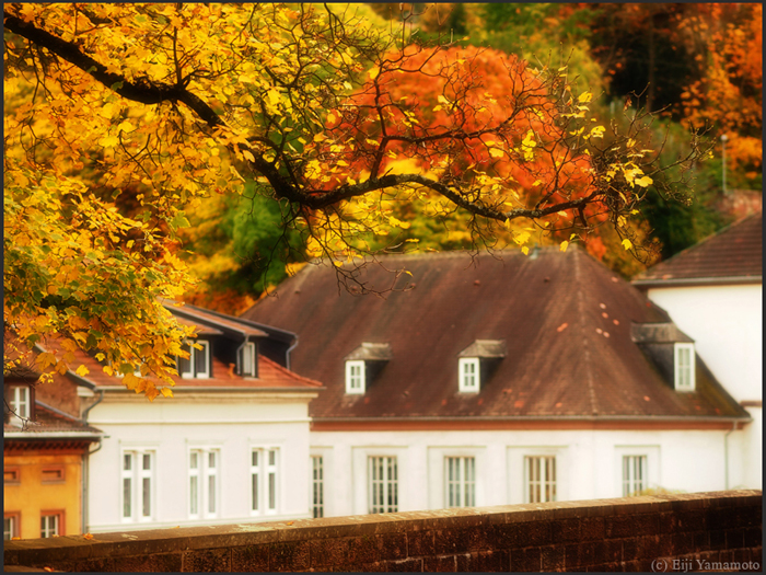 ザールブリュッケン