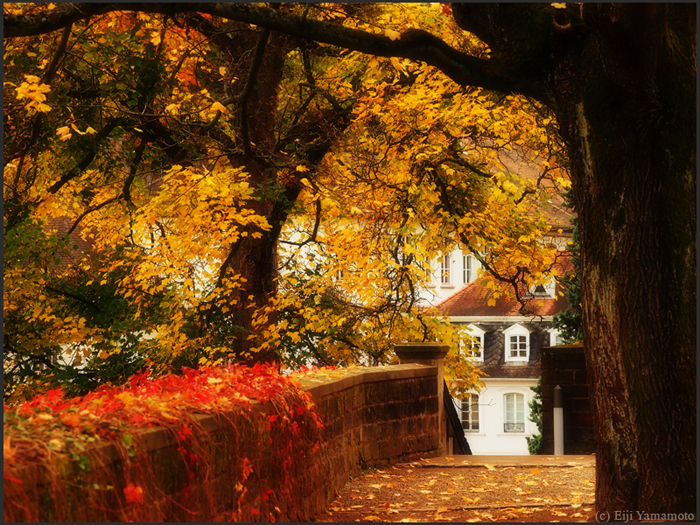 ザールブリュッケン