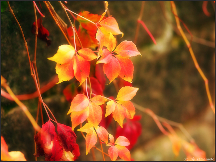 ザールブリュッケン