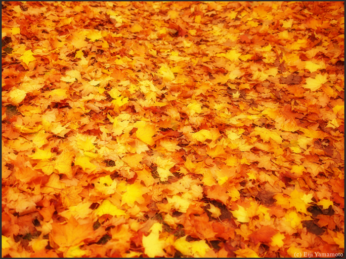 ザールブリュッケン