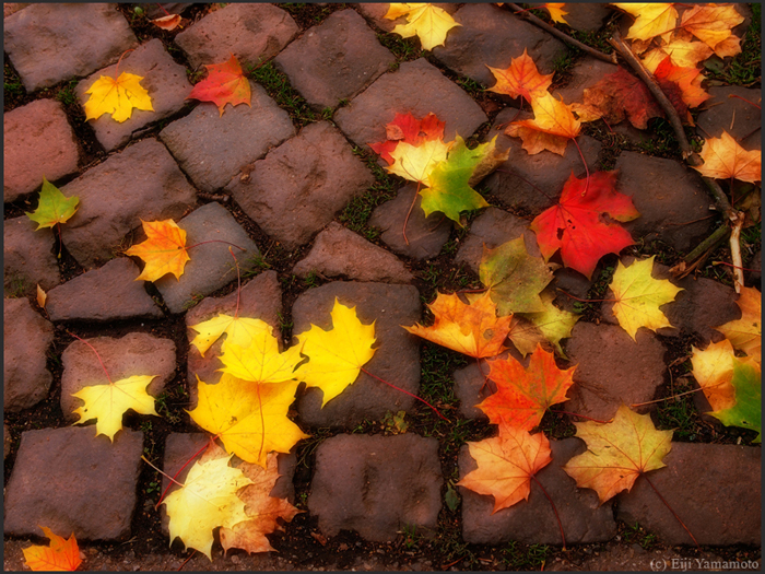 ザールブリュッケン