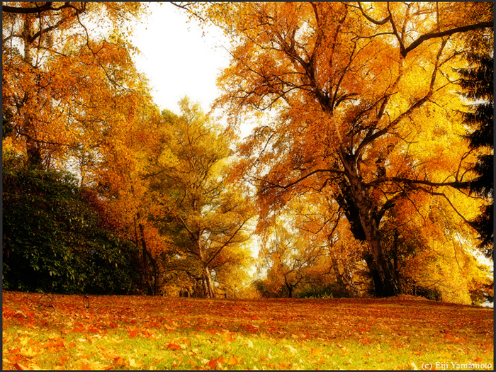 ザールブリュッケン