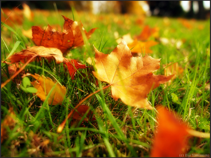 ザールブリュッケン