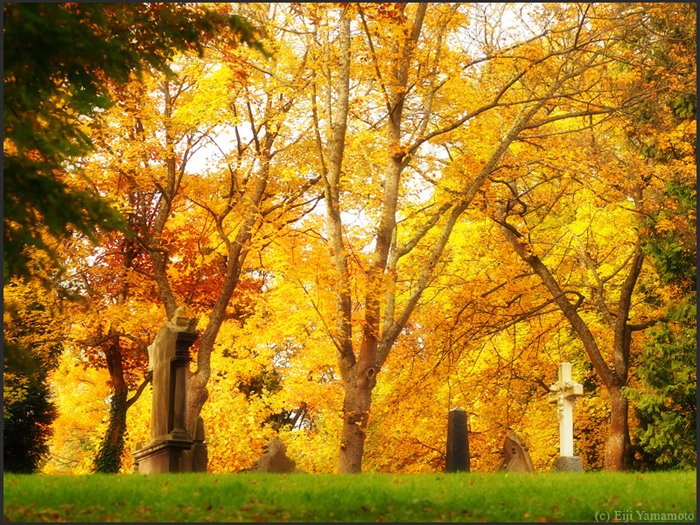 ザールブリュッケン