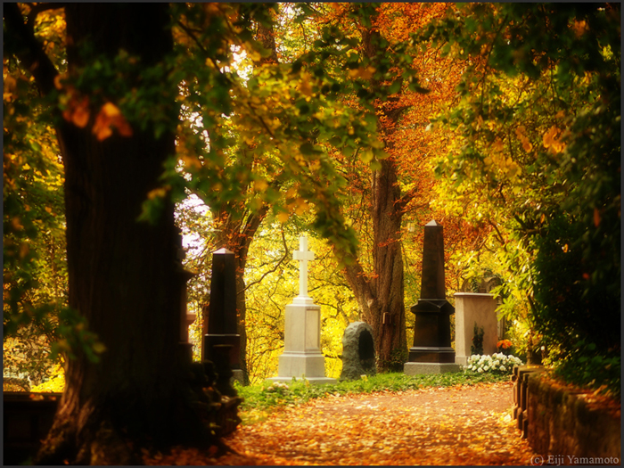 ザールブリュッケン