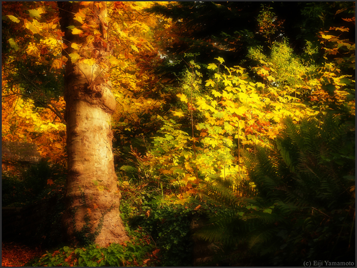 ザールブリュッケン