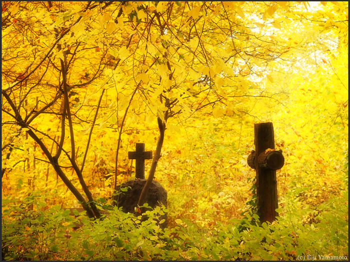 ザールブリュッケン