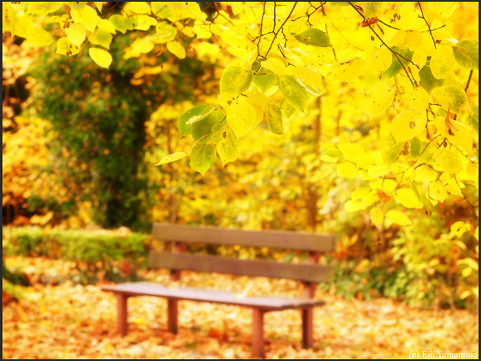 ザールブリュッケン