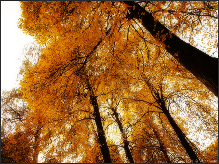 ザールブリュッケン