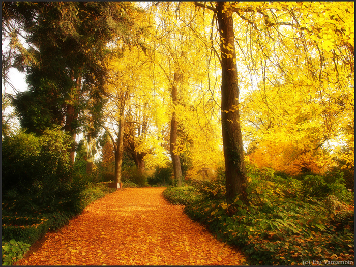 ザールブリュッケン