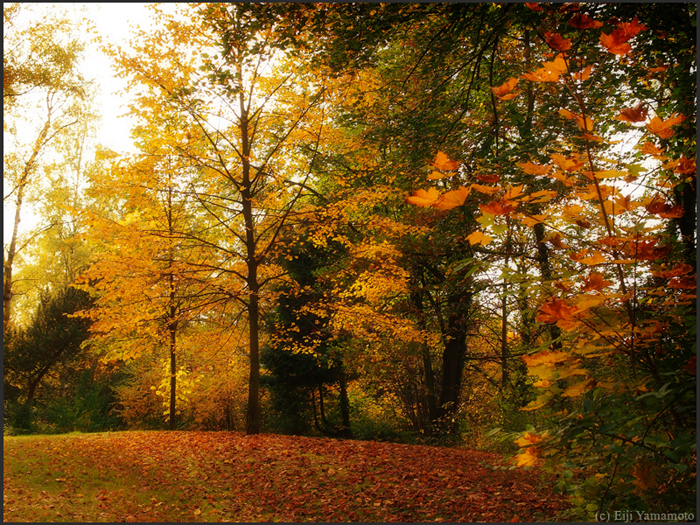 ザールブリュッケン