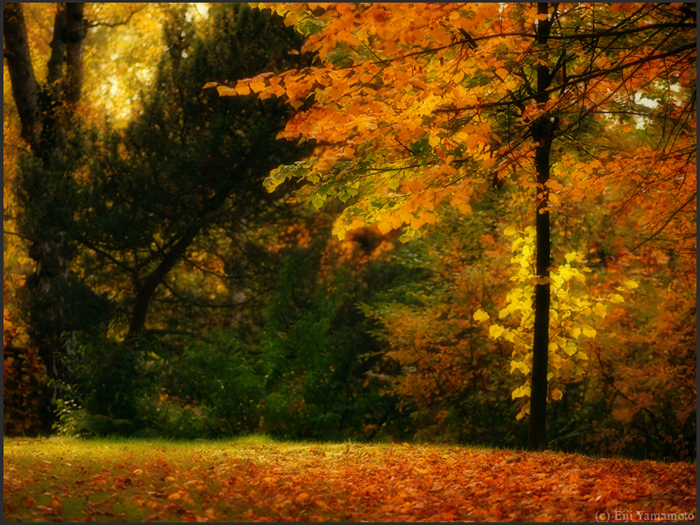 ザールブリュッケン