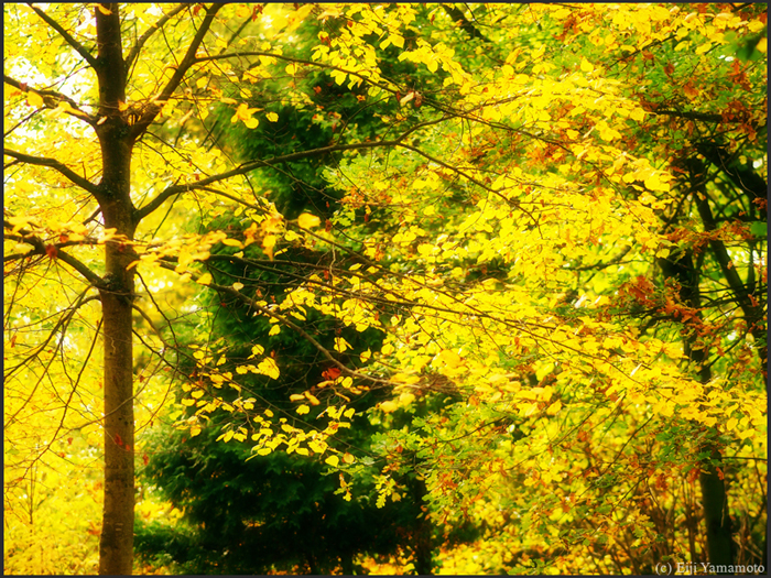 ザールブリュッケン