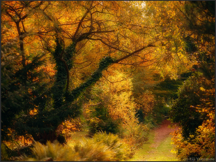 ザールブリュッケン