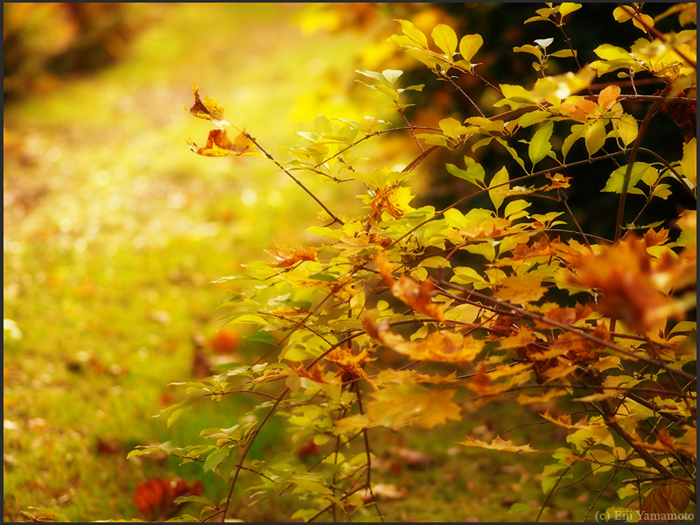 ザールブリュッケン