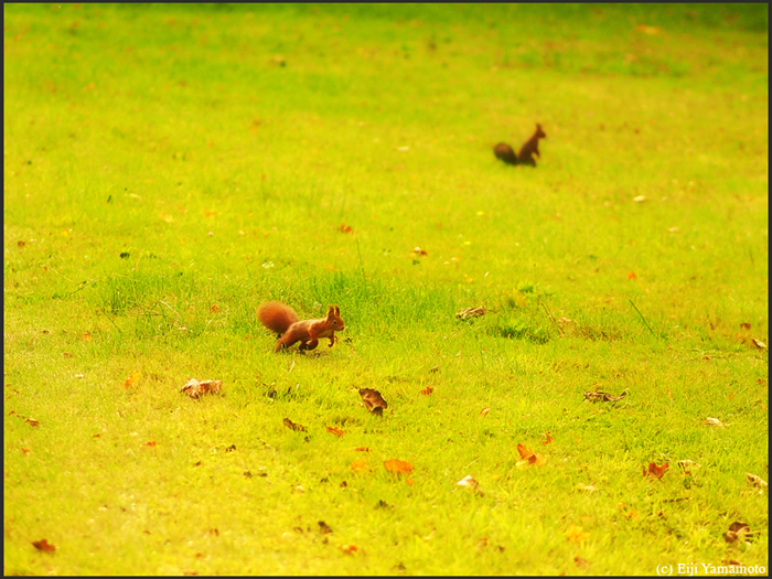 ザールブリュッケン