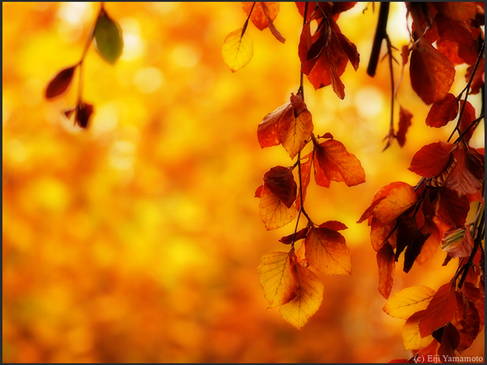 ザールブリュッケン