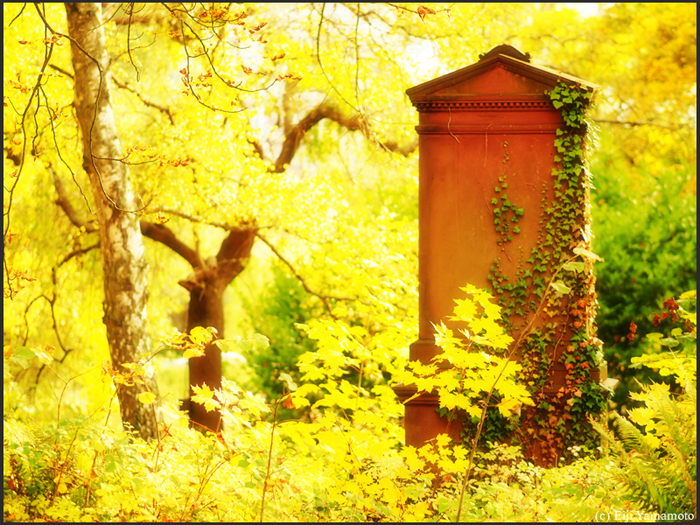 ザールブリュッケン