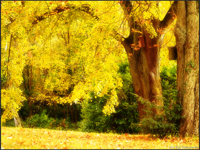 ザールブリュッケン