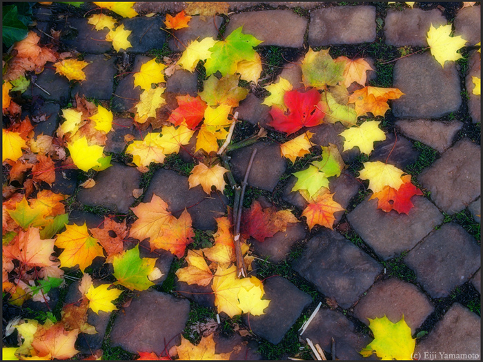 ザールブリュッケン