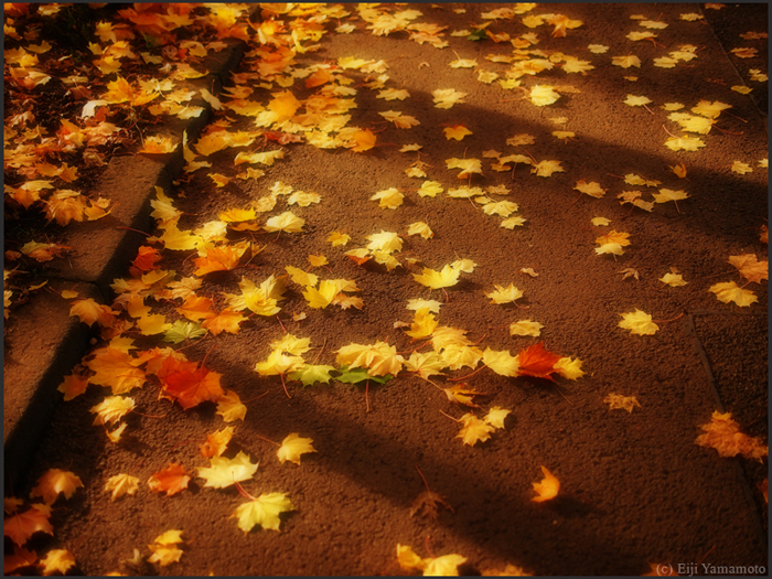 ザールブリュッケン