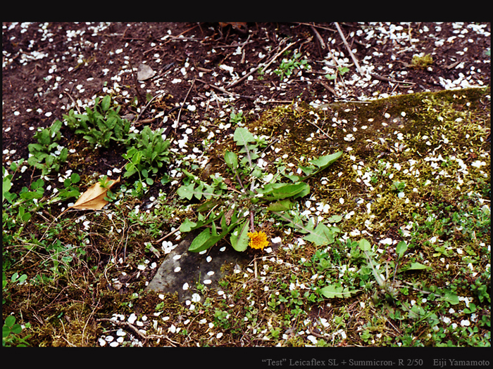 ザールブリュッケン