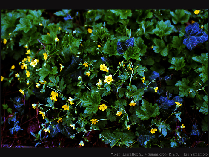 ザールブリュッケン