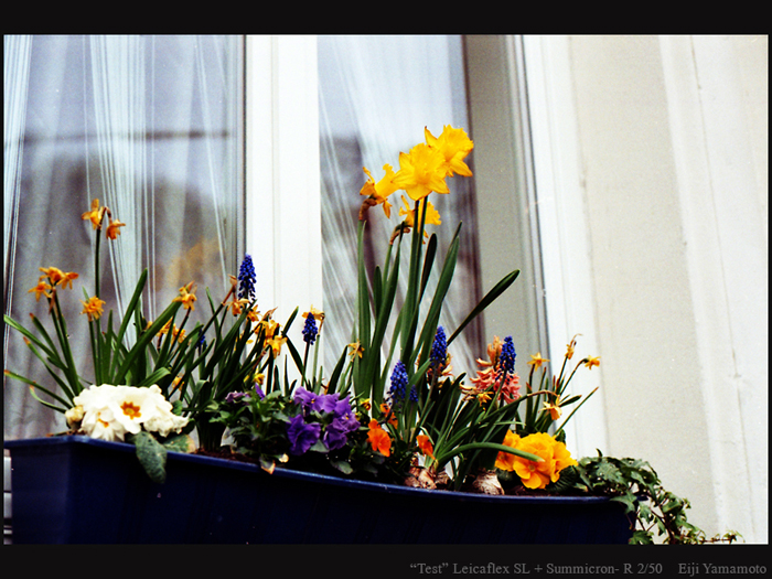 ザールブリュッケン