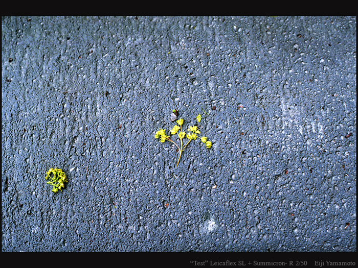 ザールブリュッケン