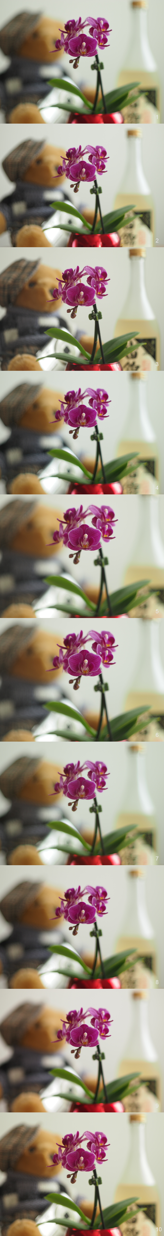 レンズ比較