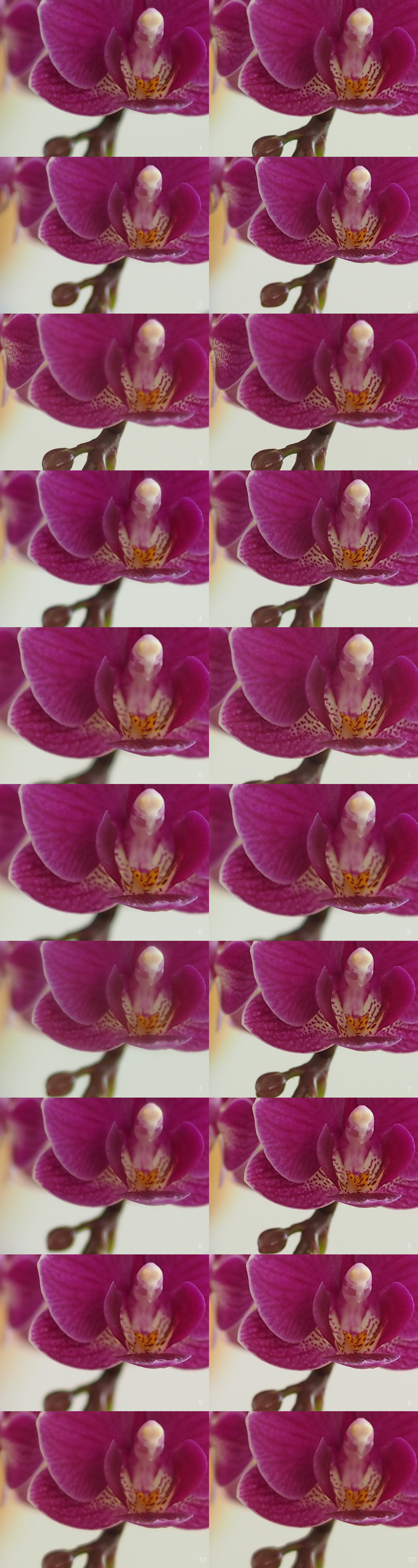 レンズ比較