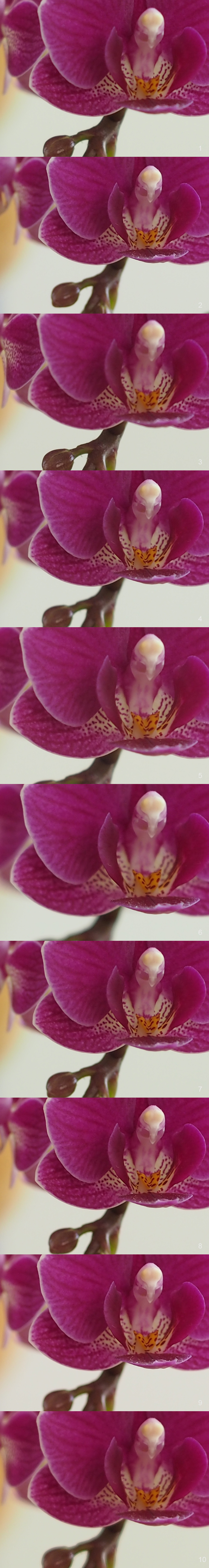 レンズ比較