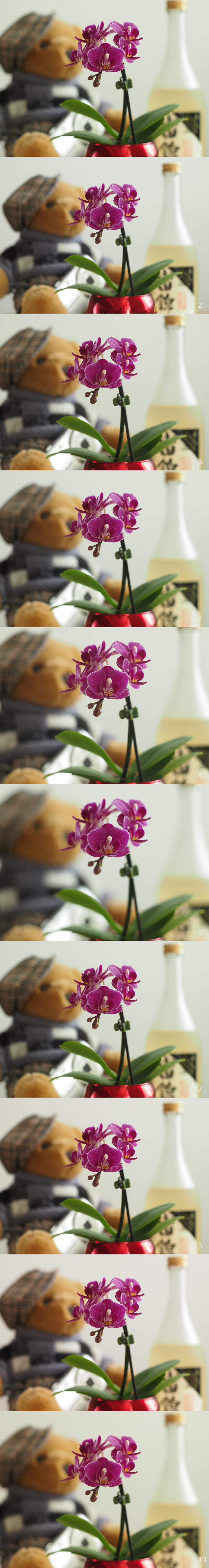 レンズ比較