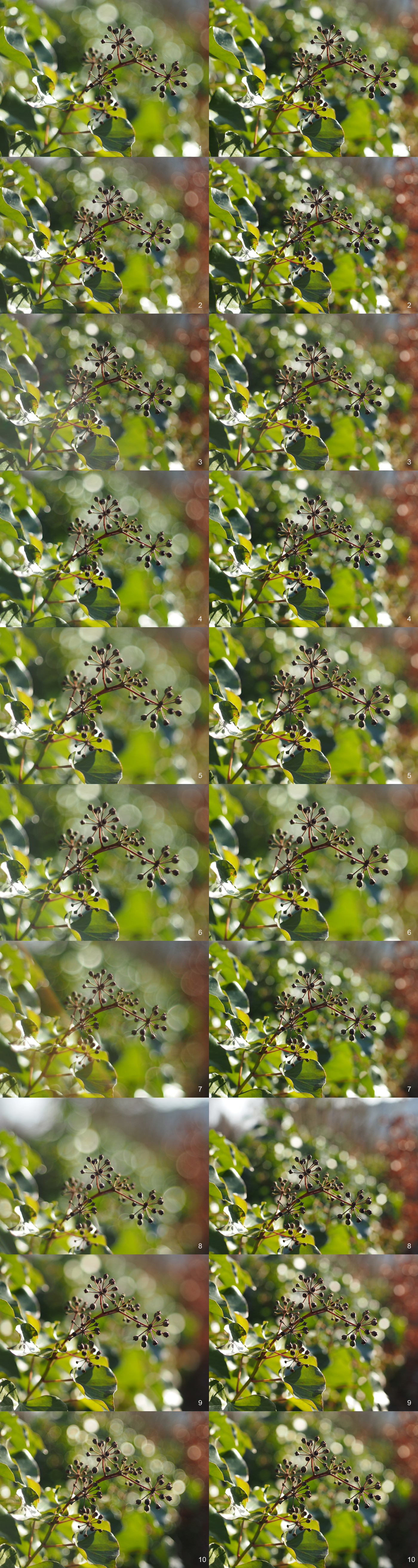 レンズ比較