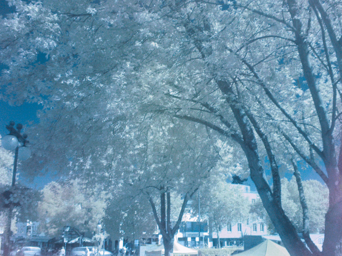 ザールブリュッケン