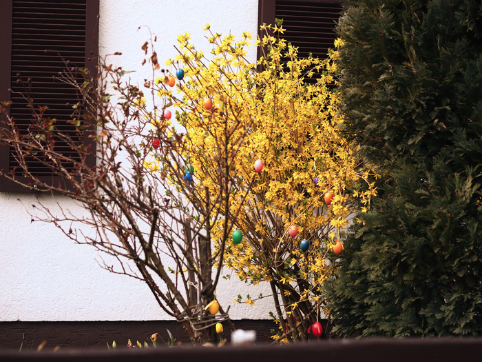 ザールブリュッケン